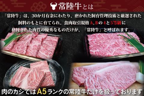 常陸牛 カルビ 焼肉用 約780g (3～5人前) ( 茨城県共通返礼品・茨城県産 ) ブランド牛 茨城 国産 黒毛和牛 霜降り 牛肉 冷凍