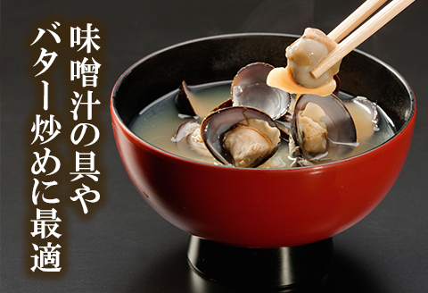 涸沼産 大粒 冷凍 シジミ 1.6kg （400ｇ×4袋） しじみ 蜆 大和しじみ ヤマトシジミ 大玉 砂抜き済 冷凍 味噌汁 スープ 魚貝類 貝 オルニチン コハク酸 小分け