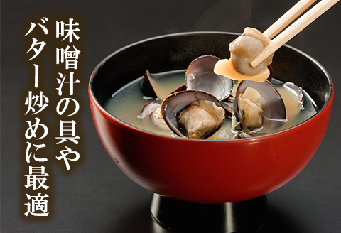 涸沼産 大粒 冷凍 シジミ 3.2kg （400ｇ×8袋） しじみ 蜆 大和しじみ ヤマトシジミ 大玉 砂抜き済 冷凍 味噌汁 スープ 魚貝類 貝 オルニチン コハク酸 小分け