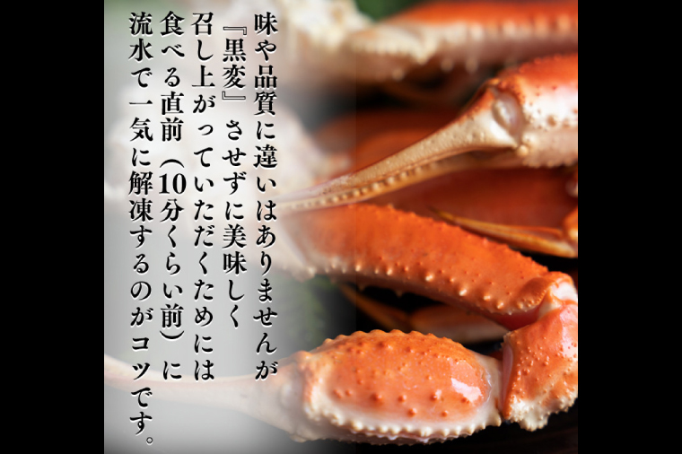 カニの カジマ 職人魂 かに定期便 隔月1回 × 3回 カジマ ずわい蟹 ズワイガニ たらば蟹 タラバガニ ずわいがに かに カニ 蟹 ずわい たらば