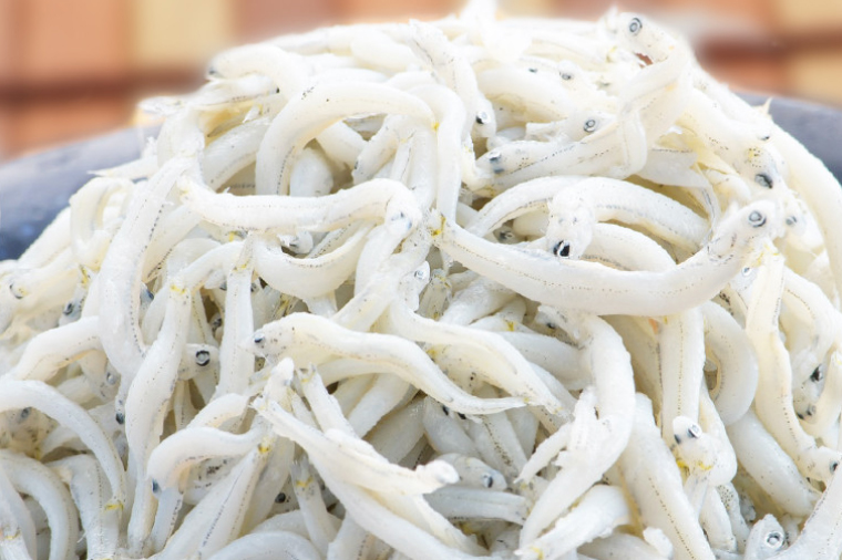 定期便 釜揚げしらす (1kg×3か月) 天然 釜揚げ ふっくら しらす シラス 魚 さかな 魚介 離乳食