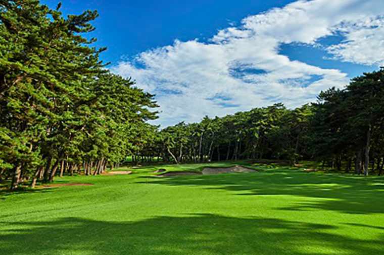 【倶楽部会員限定】 大洗ゴルフ倶楽部 平日プレー券(ビジター用) ゴルフ場 利用券