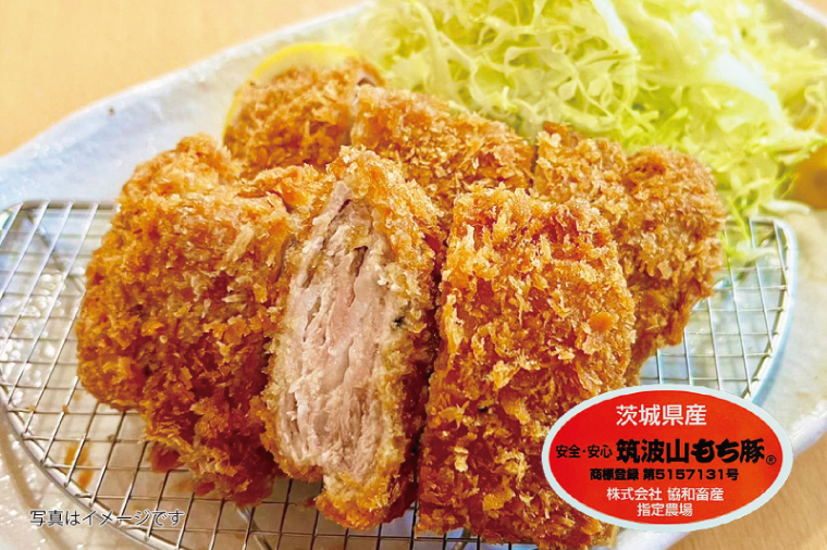 【楽ちん 冷凍とんかつ・牛かつ】【楽ちん 冷凍とんかつ・牛かつ】茨城の旨い肉フルセット！いばらきの恵み詰合せスペシャル（常陸牛かつ×1、雨情の里牛かつ×1、ローズポークロースかつ×1、筑波山もち豚ロースかつ×1、筑波山もち豚ミルフィーユかつ×2、茨城メンチかつ×2）