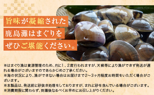 大洗産鹿島灘天然はまぐり 2㎏ 冷蔵 お吸い物 ハマグリ 蛤 貝 砂抜き処理 魚介類 大洗産 天然 はまぐり