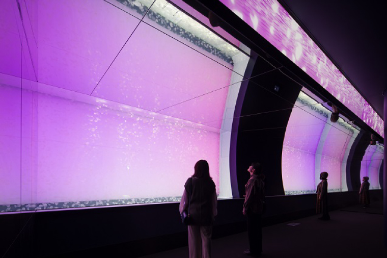 【仮予約必須】 アクアワールド 茨城県 大洗 水族館 貸し切り プラン (3時間) プロポーズ ウェディング フォト ユニークベニュー ショートプラン 貸切