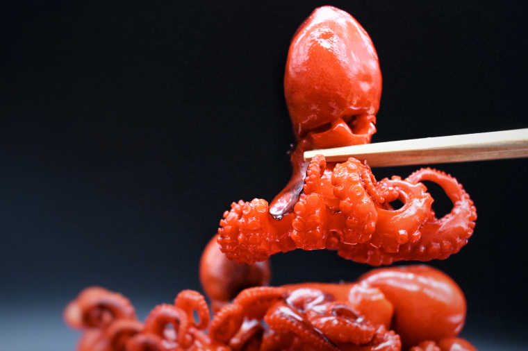 味付けチビたこ からし風味 800ｇ やまさん商店 たこ 蛸 ピリ辛 ちびだこ つまみ 珍味 3箱