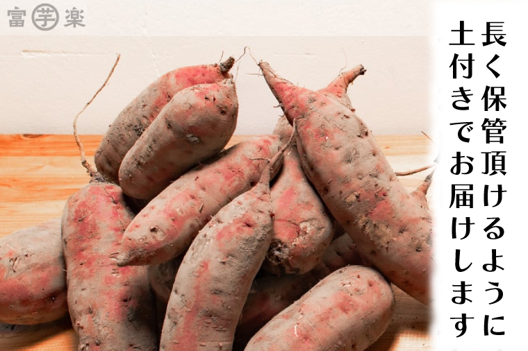 【先行予約】干し芋屋のさつまいも 熟成 紅はるか 生芋 5kg 無添加 無着色 茨城県産 サツマイモ 土付き 芋 さつまいも さつま芋 薩摩芋 紅遥 べにはるか