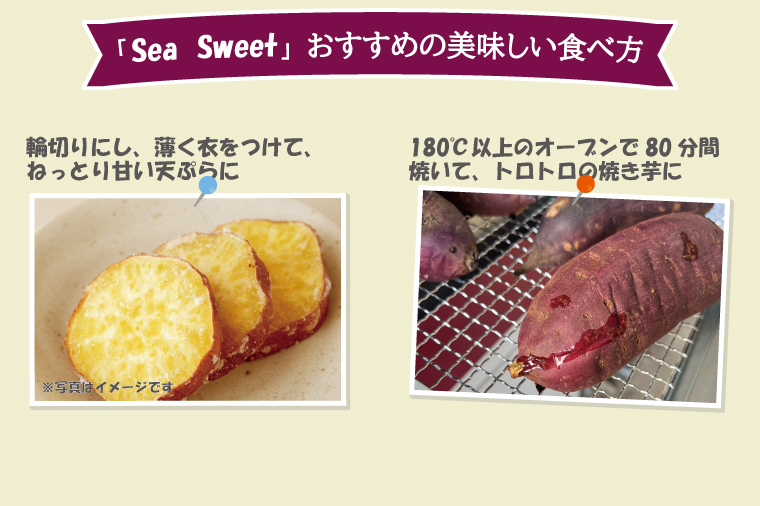 【先行予約】大洗産 さつまいも 紅はるか 5kg （15本前後） Sea Sweet 長期熟成 茨城県産 サツマイモ 土付き 生芋 芋 さつま芋 薩摩芋 甘藷 べにはるか