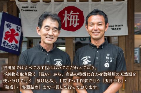 うす塩味梅干 1kg 減塩 昔ながら 老舗 伝統 国産 大洗 大洗町 梅干し 梅干 梅 うめぼし うめ