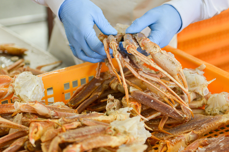 【12月25日決済確定分まで年内発送】ボイル たらばがに 0.8kg（総重量 1kg ） 特大 5L シュリンクパック カジマ たらば蟹 タラバガニ たらばがに かに カニ 蟹かに たらばがに カニ たらばがに 蟹 たらばがに かに タラバガニ カニ タラバガニ 蟹 タラバガニ かに たらば カニ たらば 蟹 たらば かに