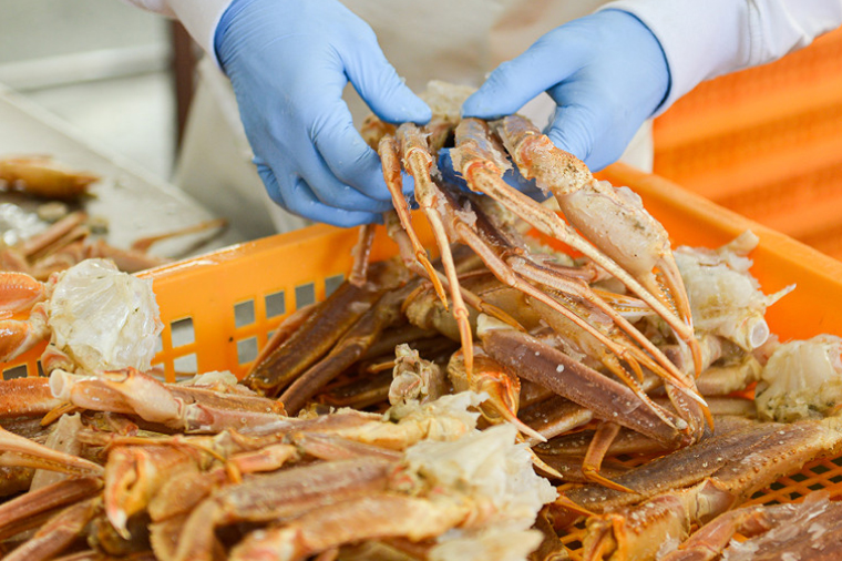 【12月25日決済確定分まで年内発送】生たらばがに 0.6kg（総重量 0.8kg ） 特大 4L シュリンクパック カジマ たらば蟹 タラバガニ たらばがに かに カニ 蟹