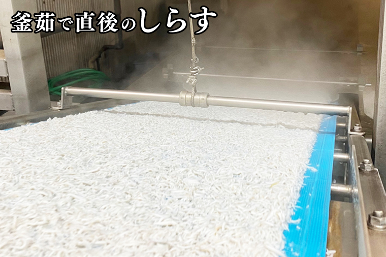 釜揚げしらす しらす干し 交互 定期便 (1kg×6か月) 天然 ふっくら 大洗 名産 しらす シラス 魚 さかな 魚介 離乳食