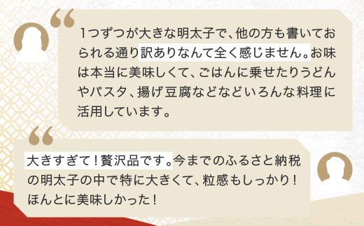 かねふく 明太子 定期便 訳あり 特上 切れ子 1kg ＜9ヶ月連続お届け＞ 計 9kg 茨城 大洗 めんたいパーク わけあり めんたいこ 冷凍 有着色
