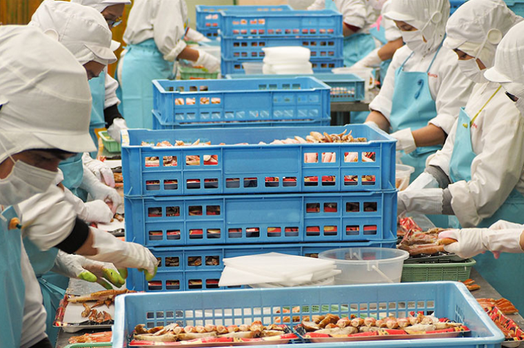 【12月25日決済確定分まで年内発送】ボイル たらばがに 爪 400g 弥七商店 かに弥 たらば蟹 タラバガニ かに カニ 蟹 タラバ 鍋 焼きガニ