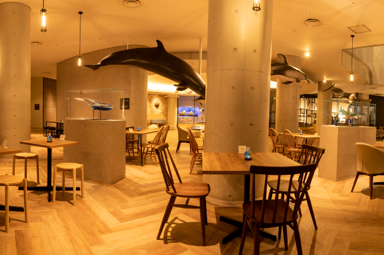 【仮予約必須】 アクアワールド 茨城県 大洗 水族館 貸し切り プラン (3時間) プロポーズ ウェディング フォト ユニークベニュー ショートプラン 貸切