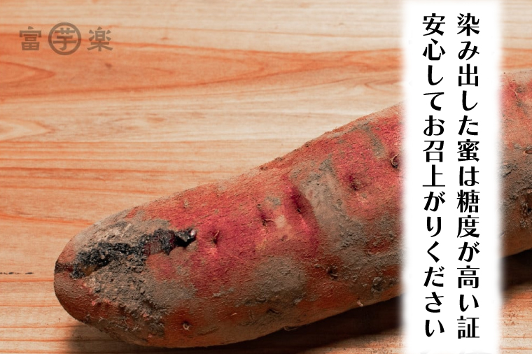 【先行予約】干し芋屋のさつまいも 熟成 紅はるか 生芋 5kg 無添加 無着色 茨城県産 サツマイモ 土付き 芋 さつまいも さつま芋 薩摩芋 紅遥 べにはるか