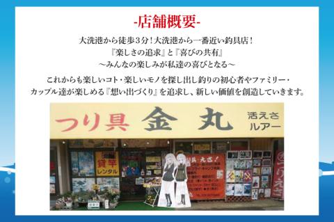 釣具 レンタル 1名様分 (4時間) 初めてでも安心！手ぶらで気軽に海釣り！ サビキ釣り ちょい投げ釣り フィッシング 釣り 竿 チケット 券 体験 レジャー 旅行 魚 さかな 大洗