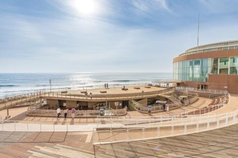アクアワールド茨城県大洗水族館年間パスポート引換券　大人1名様、小・中学生1名様分