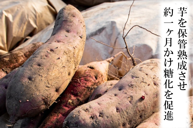 【先行予約】 濃味熟成 極焼き芋 1kg (250g×4p) 冷凍 真空パック 紅はるか 焼き芋 小分け 大洗産 茨城県産 国産 濃厚 熟成 やきいも 芋 茨城 べにはるか さつまいも お菓子 和菓子 スイーツ(CE009)