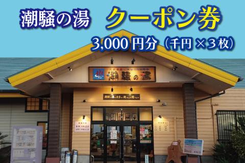 天然温泉 潮騒の湯 クーポン券 3000円分（1000円×3枚） 露店風呂 サウナ おんせん 大洗サンビーチ 海鮮 魚介 食事 宿泊 チケット 利用券 アウトドア 旅行