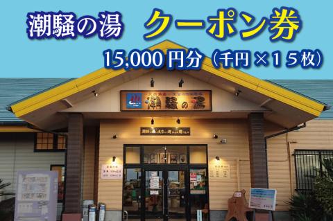 天然温泉 潮騒の湯 クーポン券 15000円分（1000円×15枚） 露店風呂 サウナ おんせん 大洗サンビーチ 海鮮 魚介 食事 宿泊 チケット 利用券 アウトドア 旅行
