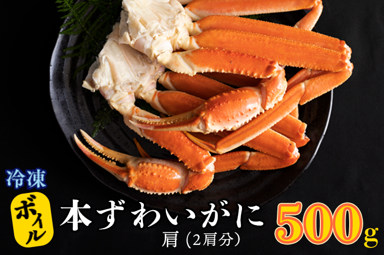 【12月25日決済確定分まで年内発送】ボイル 本ずわいがに 2肩 500g × 1 カジマ ずわい蟹 ズワイガニ ずわいがに かに カニ 蟹