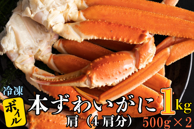 【12月25日決済確定分まで年内発送】ボイル 本ずわいがに 1kg 4肩 (500g × 2) カジマ ずわい蟹 ズワイガニ ずわいがに かに カニ 蟹