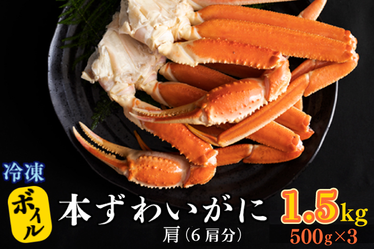 【12月25日決済確定分まで年内発送】ボイル 本ずわいがに 1.5kg 6肩 (500g × 3) カジマ ずわい蟹 ズワイガニ ずわいがに かに カニ 蟹