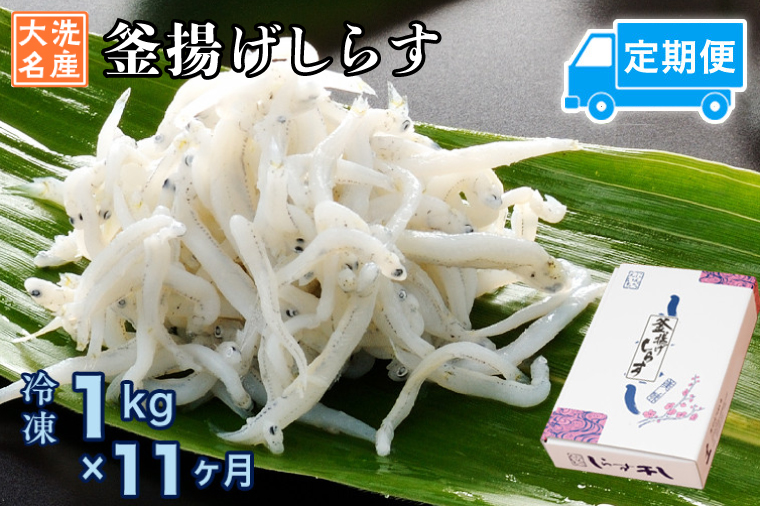 定期便 釜揚げしらす (1kg×11か月) 天然 釜揚げ ふっくら しらす シラス 魚 さかな 魚介 離乳食