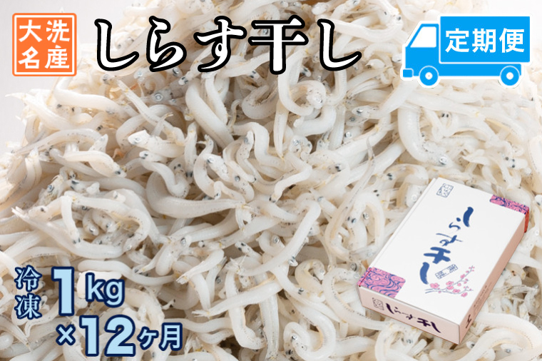 定期便 しらす干し (1kg×12か月) 天然 ふっくら 大洗 名産 しらす シラス 魚 さかな 魚介 離乳食
