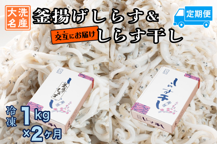 釜揚げしらす しらす干し 交互 定期便 (1kg×2か月) 天然 ふっくら 大洗 名産 しらす シラス 魚 さかな 魚介 離乳食
