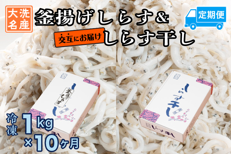 釜揚げしらす しらす干し 交互 定期便 (1kg×10か月) 天然 ふっくら 大洗 名産 しらす シラス 魚 さかな 魚介 離乳食
