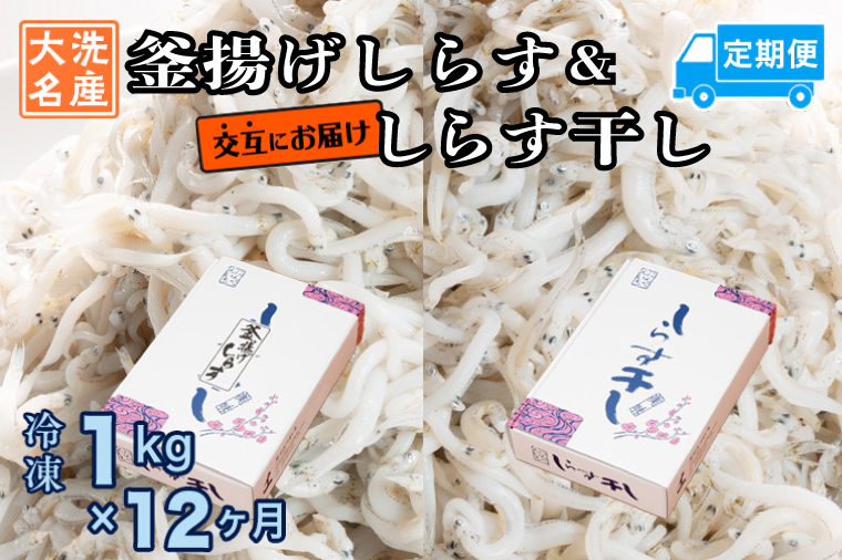 釜揚げしらす しらす干し 交互 定期便 (1kg×12か月) 天然 ふっくら 大洗 名産 しらす シラス 魚 さかな 魚介 離乳食