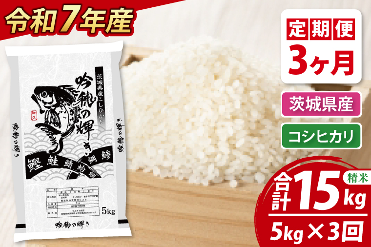 【期間限定・特別寄附額】 【3ヵ月定期便】 ＜令和７年産＞ コシヒカリ 5kg × 3ヵ月 精米 こしひかり 米 ごはん コメ お米 白米 国産 茨城県産