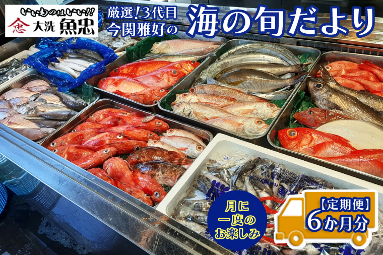 定期便 6ヶ月 鮮魚店「魚忠」 厳選鮮魚セット 大洗 厳選 旬 魚 さかな