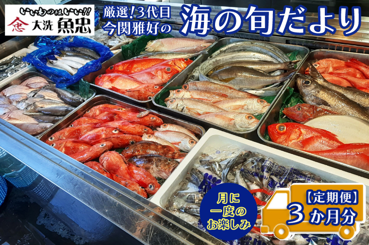 定期便 3ヶ月 鮮魚店「魚忠」 厳選鮮魚セット 大洗 厳選 旬 魚 さかな