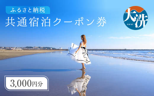 大洗町 共通 宿泊 クーポン 3,000円分 関東 茨城