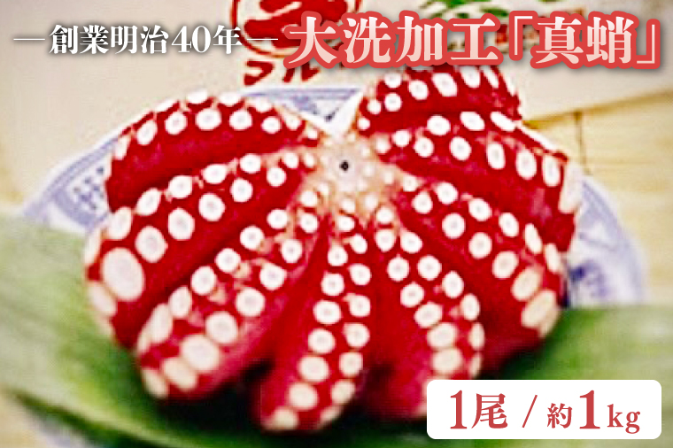 【12月23日決済分まで年内発送】創業明治 40年 大洗加工 真蛸 1尾 約 1kg 茨城県 大洗 たこ 蛸 タコ