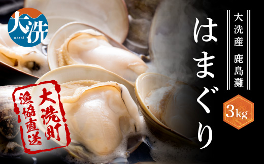 大洗産鹿島灘天然はまぐり 3㎏ 冷蔵 お吸い物 ハマグリ 蛤 貝 砂抜き処理 魚介類 大洗産 天然 はまぐり