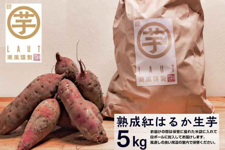 【先行予約】干し芋屋のさつまいも 熟成 紅はるか 生芋 5kg 無添加 無着色 茨城県産 サツマイモ 土付き 芋 さつまいも さつま芋 薩摩芋 紅遥 べにはるか