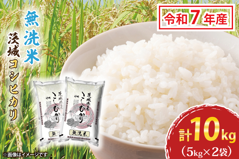 令和7年産 無洗米 茨城 コシヒカリ 10kg (5㎏×２袋) 新米 米 お米 おこめ 白米 ライス ご飯 精米 こしひかり 国産 茨城県産