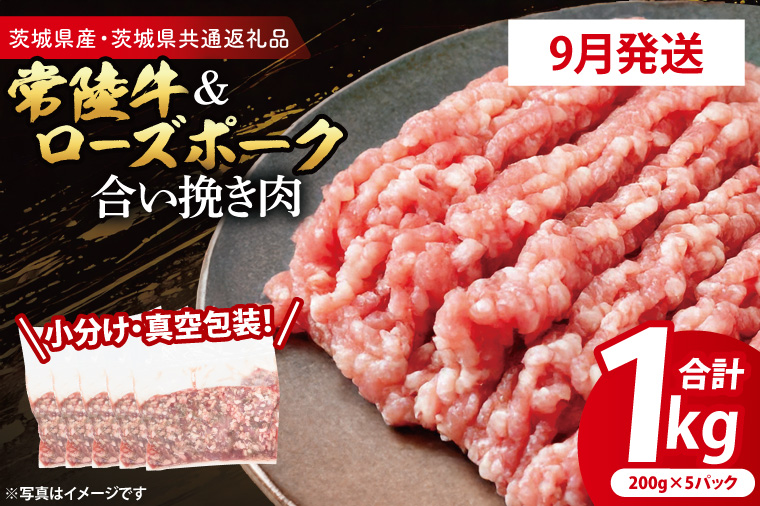 【2026年9月発送・小分け・真空パック】 国産牛豚 合挽き肉 200g×5p (1kg) ( 茨城県共通返礼品・茨城県産 ) ブランド牛 ブランド豚 常陸牛 ローズポーク 茨城 国産 牛 牛肉 豚 豚肉 合挽肉 合い挽き肉 合いびき肉 挽き肉 挽肉 ひき肉 合挽ミンチ 合挽きミンチ ミンチ ハンバーグ 冷凍 発送時期が選べる 小分け 真空パック