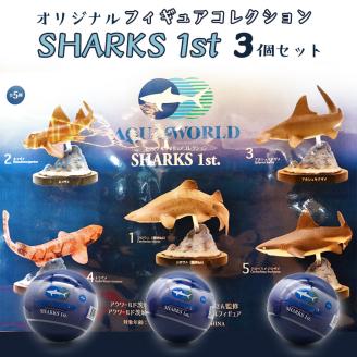 オリジナル フィギュア SHARKS 1st 3個 セット アクアワールド 大洗 飼育員 監修 オリジナル グッズ コレクション 茨城 水族館 鮫  さめ サメ 限定: 大洗町ANAのふるさと納税