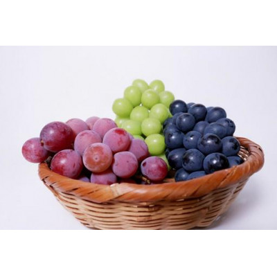 ぶどう おまかせ 4品種 食べ比べ シャインマスカット ピオ