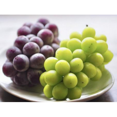 シャインマスカット と 巨峰 桐箱入り 2房 ＜2026年7月より順