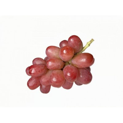 我が道 桐箱入り 1房 ＜2026年9月より順次発送予定＞ (県内共