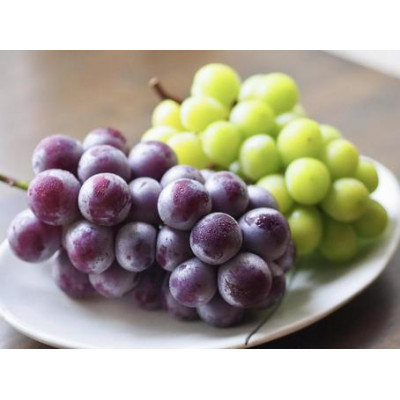 【お中元 熨斗付】 シャインマスカット と ピオーネ 桐箱入