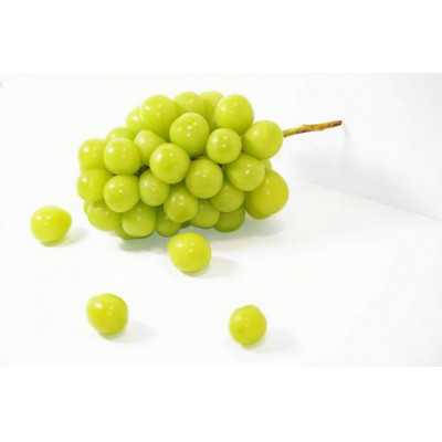 【お中元 熨斗付】 シャインマスカット と 巨峰 桐箱入り 2