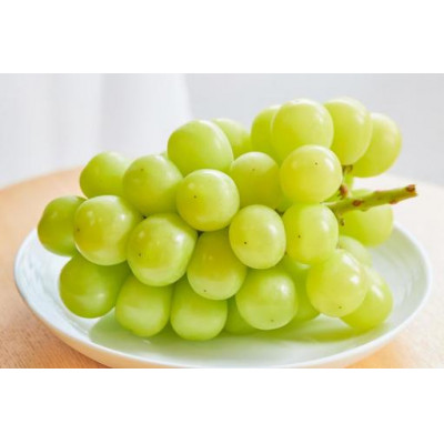 【お中元 熨斗付】 シャインマスカット 桐箱入り 1房 ＜2026