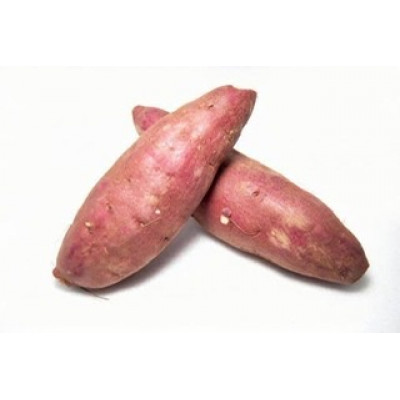 訳ありさつまいも　10kg 県共通返礼品　行方市産 (BR148)